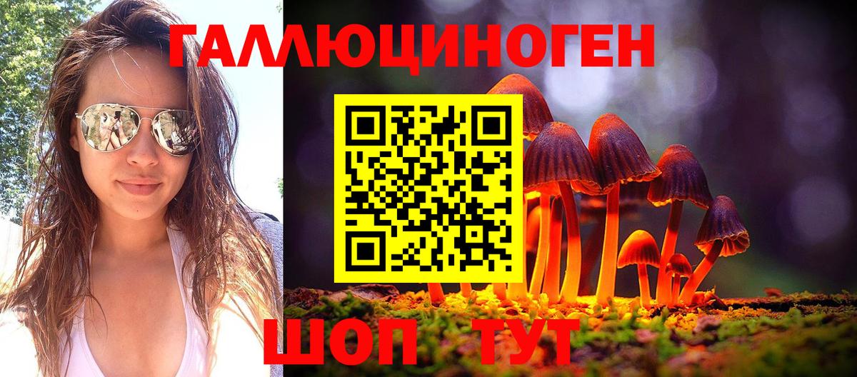 Советская Гавань  Псилоцибиновые грибы GOLDEN TEACHER  Вход с VPN 
