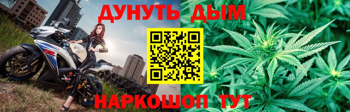 Каннабис конопля Советская Гавань